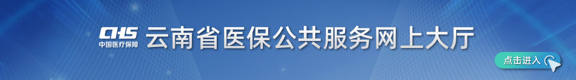 云南省医保公共服务网上大厅