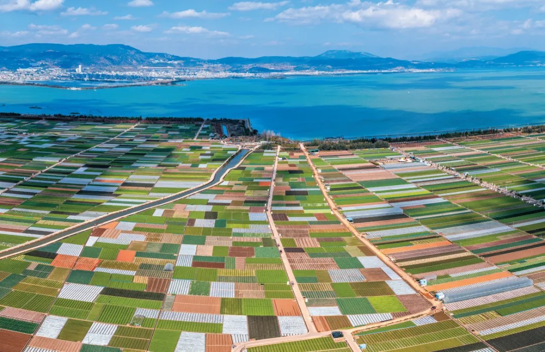 《云岭之窗》杂志发表省委书记王宁署名文章《努力开创云南乡村全面振兴新局面》