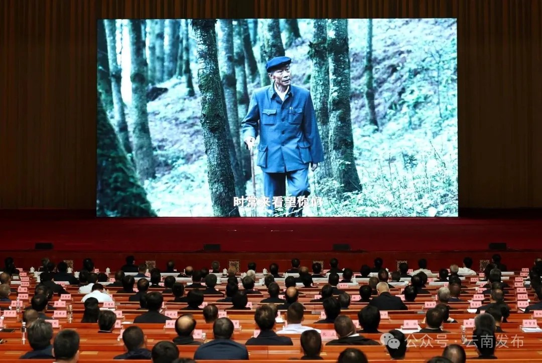 省委组织领导干部集中观看电影《杨善洲》 学习弘扬杨善洲同志先进事迹 以正确政绩观为政干事做人 王宁王予波刘洪建刘晓凯等参加