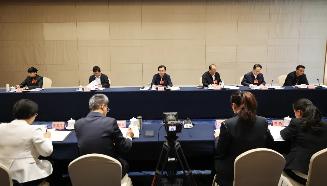 云南省代表团审议全国人大常委会工作报告 王宁王予波等参加