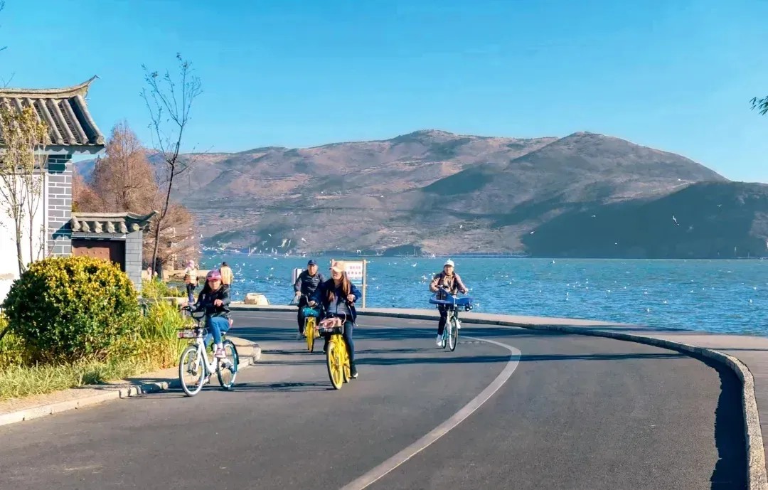 去云南，“创”出一片新天地！