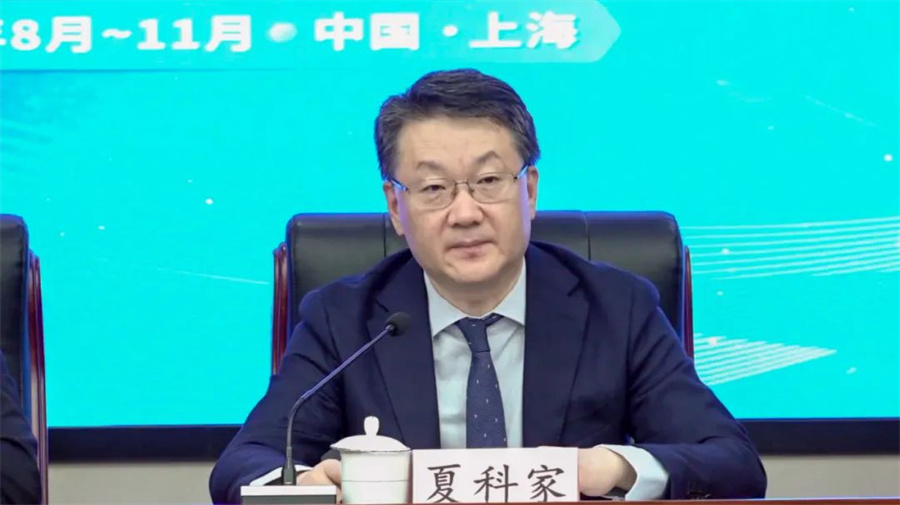 1754356611157611.jpg 10005.jpg